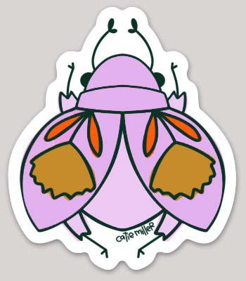 Beetle Vinyl Sticker